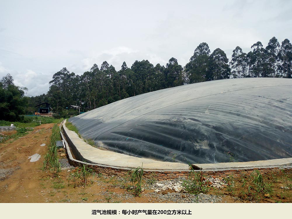 沼氣池規(guī)模.jpg